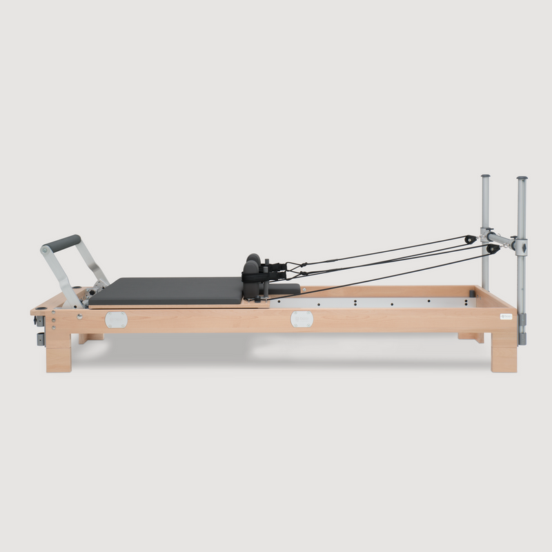 BASI Systems Reformer — alternate view