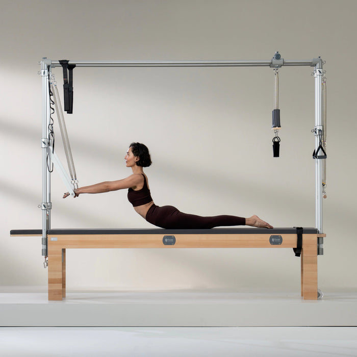 BASI Systems Trapeze Table (Cadillac)