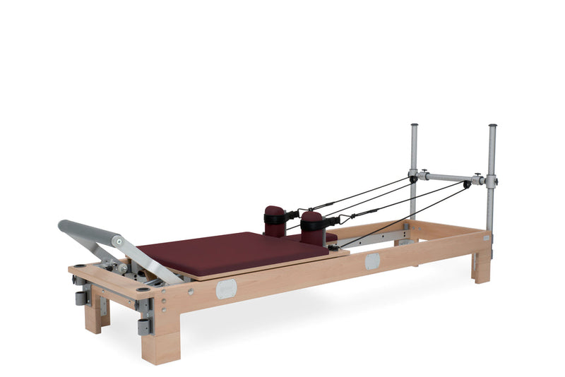 BASI Systems Reformer — perspective view