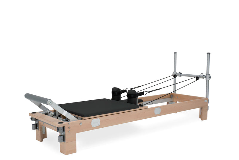 BASI Systems Reformer — usage view