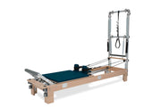BASI Systems Reformer with Tower — perspective view
