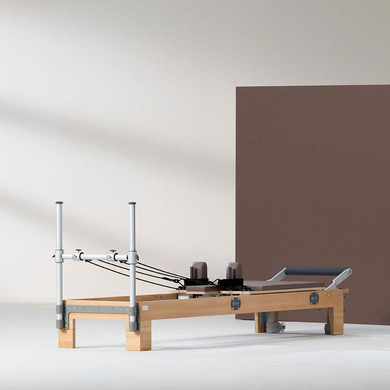 BASI Systems Reformer — additional view